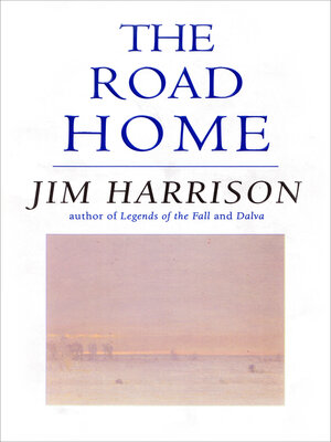 cover image of The Road Home